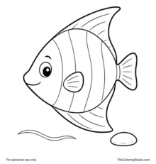 bright angelfish swimming with a water ripple and pebble