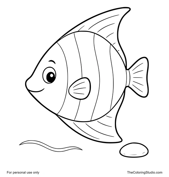 bright angelfish swimming with a water ripple and pebble