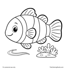 bright clownfish swimming near a tiny reef and water ripple