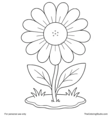 Large daisy with white petals, yellow center, green leaves, and a small garden patch on a white background.
