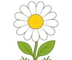 Large daisy with white petals, yellow center, green leaves, and a small garden patch on a white background.