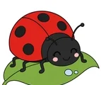 Cheerful ladybug with bold black spots resting on a simple green leaf on a white background.