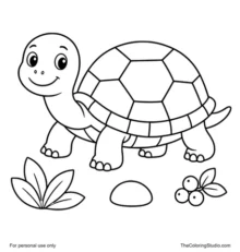 cute turtle walking near forest leaves berries and a rock