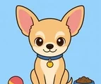 friendly chihuahua sitting with simple pet details