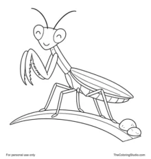 Gentle praying mantis with folded front legs standing on a simple leaf stem on a white background.
