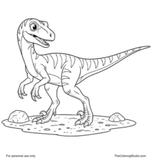 Curious velociraptor with an agile body, long tail, slender legs, small arms, simple prehistoric ground patch, and two small rocks on a white background.