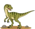 Curious velociraptor with an agile body, long tail, slender legs, small arms, simple prehistoric ground patch, and two small rocks on a white background.