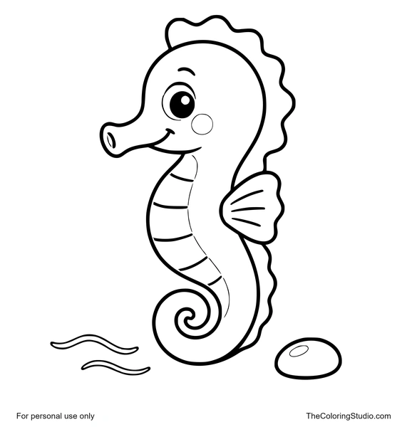 friendly seahorse floating with a water ripple and pebble