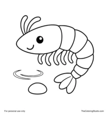 cute shrimp floating with a water ripple and small pebble