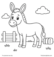 friendly donkey with simple farm details