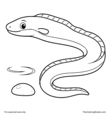 friendly eel swimming in a gentle curve with a water ripple and pebble