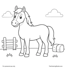 friendly horse with simple farm details