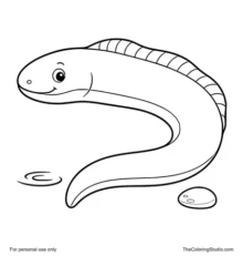 friendly moray eel swimming in a gentle curve with simple ocean accents