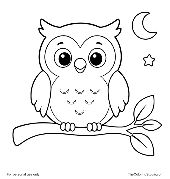 friendly owl perched on a simple branch with moon and star details