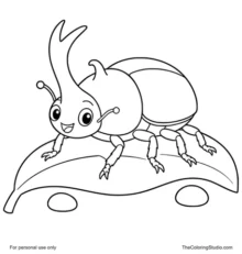 Gentle beetle with a rounded shell standing on a simple green leaf on a white background.