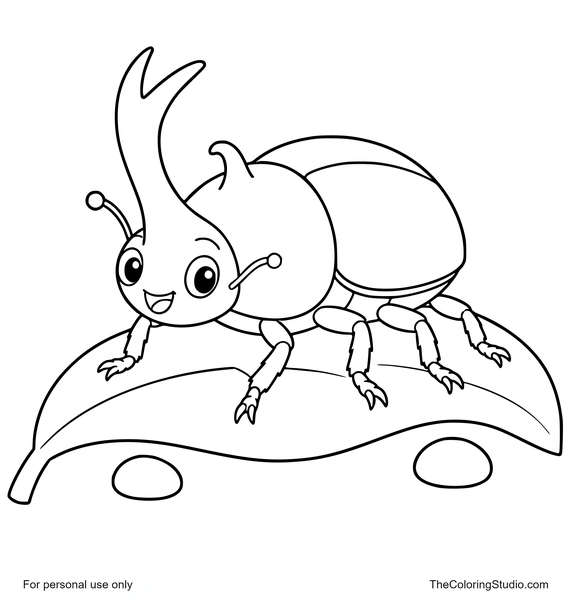 Gentle beetle with a rounded shell standing on a simple green leaf on a white background.