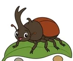 Gentle beetle with a rounded shell standing on a simple green leaf on a white background.