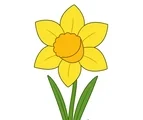 Large daffodil with yellow petals, trumpet center, green leaves, and a small garden patch on a white background.
