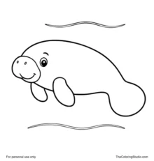 gentle manatee floating in calm water with a simple ripple