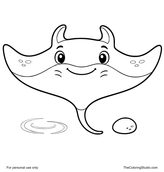 gentle manta ray gliding with a water ripple and pebble