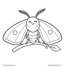 Gentle moth with broad rounded wings resting on a simple twig and small leaf on a white background.