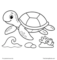 gentle sea turtle swimming near a small reef and pebble shapes