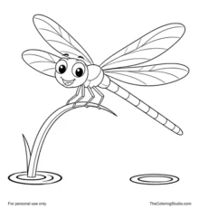 Graceful dragonfly with long wings perched above simple water ripples on a white background.