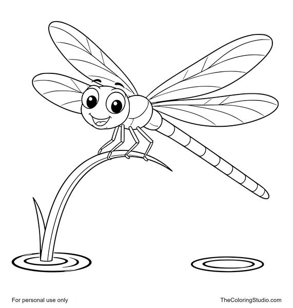 Graceful dragonfly with long wings perched above simple water ripples on a white background.