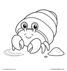Kawaii hermit crab with a rounded shell and simple ocean accents