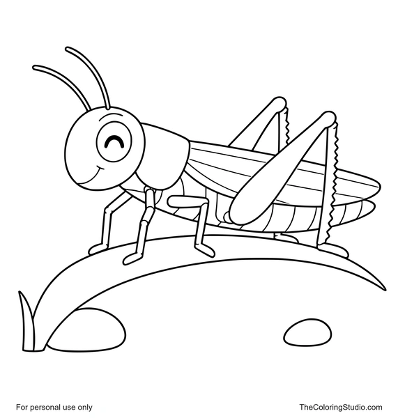 Playful green grasshopper with bent jumping legs resting on a simple curved grass blade on a white background.