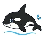 playful orca swimming with a small water ripple and splash