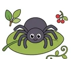 cute smiling spider sitting on a forest leaf with berries and vine