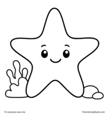 smiling starfish beside a small reef water sparkle and pebbles