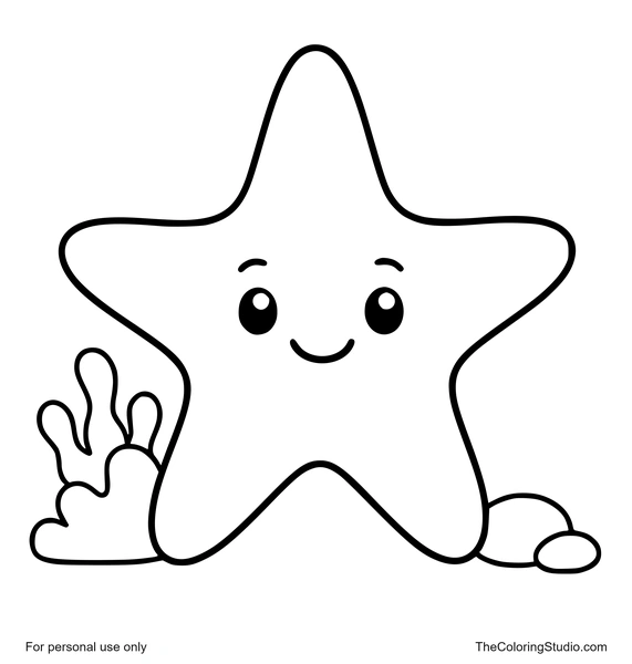 smiling starfish beside a small reef water sparkle and pebbles