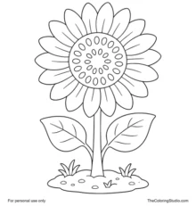 Large sunflower with yellow petals, broad green leaves, and a small garden patch on a white background.