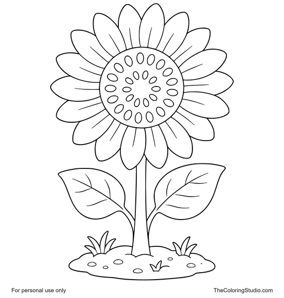 Large sunflower with yellow petals, broad green leaves, and a small garden patch on a white background.