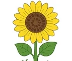 Large sunflower with yellow petals, broad green leaves, and a small garden patch on a white background.