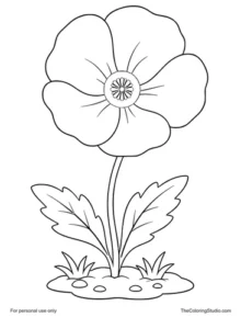 Large red poppy flower with broad petals, green leaves, and a small garden patch on a white background.