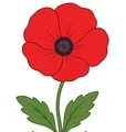Large red poppy flower with broad petals, green leaves, and a small garden patch on a white background.