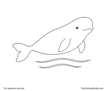 Adult beluga whale swimming with a rounded forehead, two short flippers, and a broad two-lobed tail.