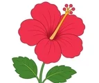 Large hibiscus flower with broad petals, green leaves, and a small garden patch on a white background.