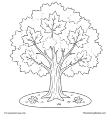 Maple tree with a sturdy trunk, rounded canopy, and two small fallen leaves on a white background.