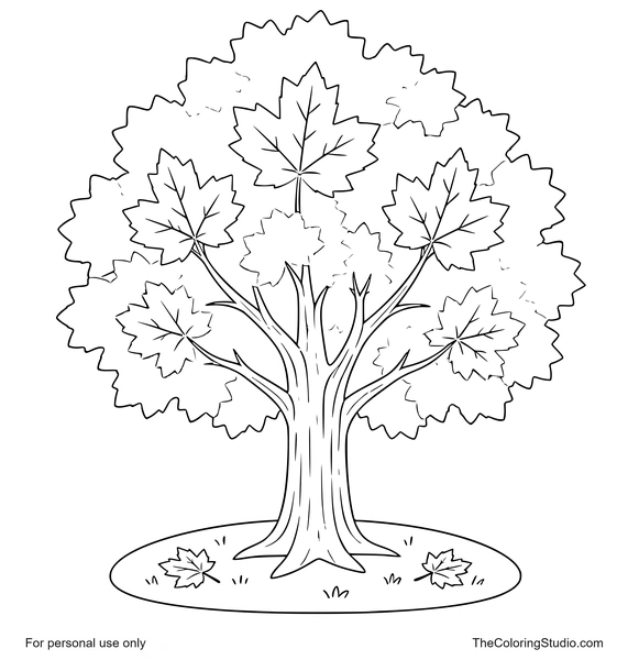 Maple tree with a sturdy trunk, rounded canopy, and two small fallen leaves on a white background.