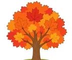 Maple tree with a sturdy trunk, rounded canopy, and two small fallen leaves on a white background.