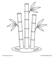 Bamboo stalks with simple green leaves on a small ground patch and white background.