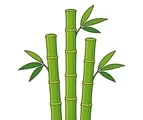 Bamboo stalks with simple green leaves on a small ground patch and white background.