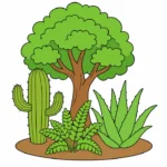 Trees and Plants