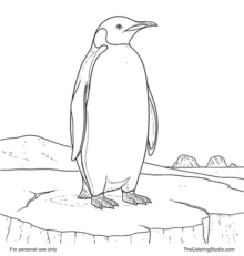 Emperor Penguin On Antarctic Ice Coloring Page