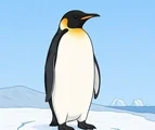 Emperor Penguin On Antarctic Ice Coloring Page