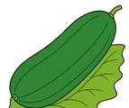 Fresh cucumber resting on a simple leaf with clean outlines and flat green color fills.